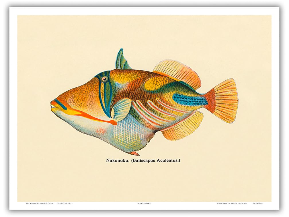 Amazon.com: Nakunuku (Baliscapus Aculeatus